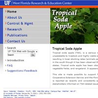 UF - Tropical Soda Apple